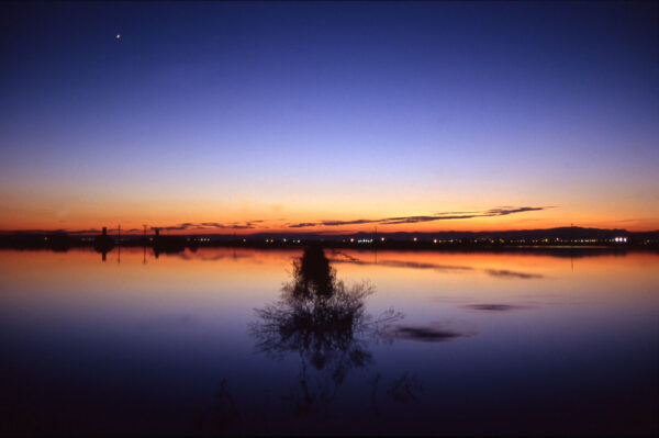 Fiar Idealista Mejor Inmobiliaria: La Verdad Sobre los Rankings y las Comisiones